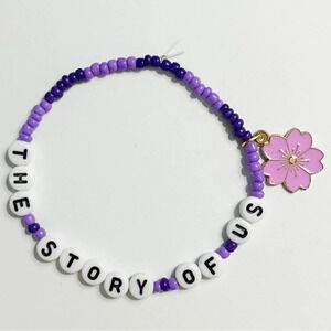 Taylor Swift Eras Tour Friendship Bracelet Speak Now The Story Of Us